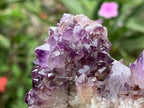 Natural Dark Purple Amethyst Crystal Cluster x 1 From Boekenhouthoek, South Africa