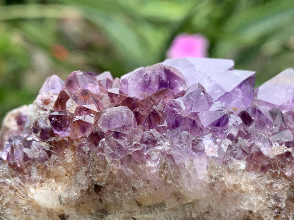 Natural Dark Purple Amethyst Crystal Cluster x 1 From Boekenhouthoek, South Africa