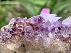 Natural Dark Purple Amethyst Crystal Cluster x 1 From Boekenhouthoek, South Africa