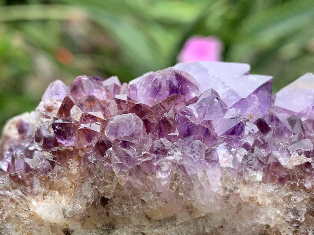 Natural Dark Purple Amethyst Crystal Cluster x 1 From Boekenhouthoek, South Africa