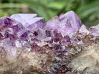 Natural Dark Purple Amethyst Crystal Cluster x 1 From Boekenhouthoek, South Africa