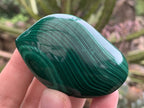 Polished Pair of Beautifully Patterned Malachite Free Forms x 1 From the Congo