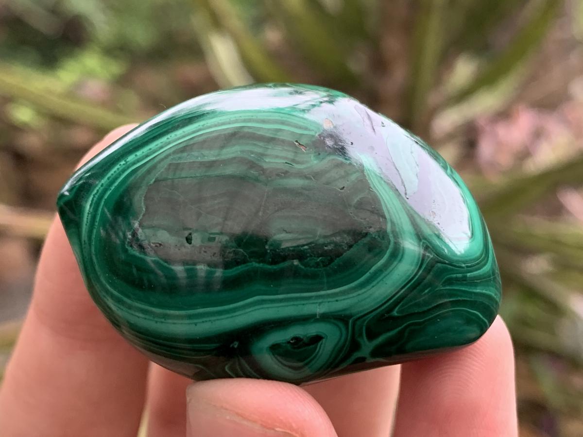 Polished Pair of Beautifully Patterned Malachite Free Forms x 1 From the Congo