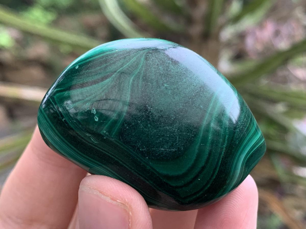 Polished Pair of Beautifully Patterned Malachite Free Forms x 1 From the Congo