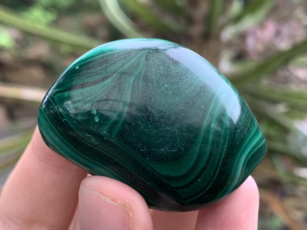 Polished Pair of Beautifully Patterned Malachite Free Forms x 1 From the Congo