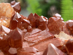 Natural Red Hematiod Quartz Cluster x 1 From Pella, Orange River, Northern Cape