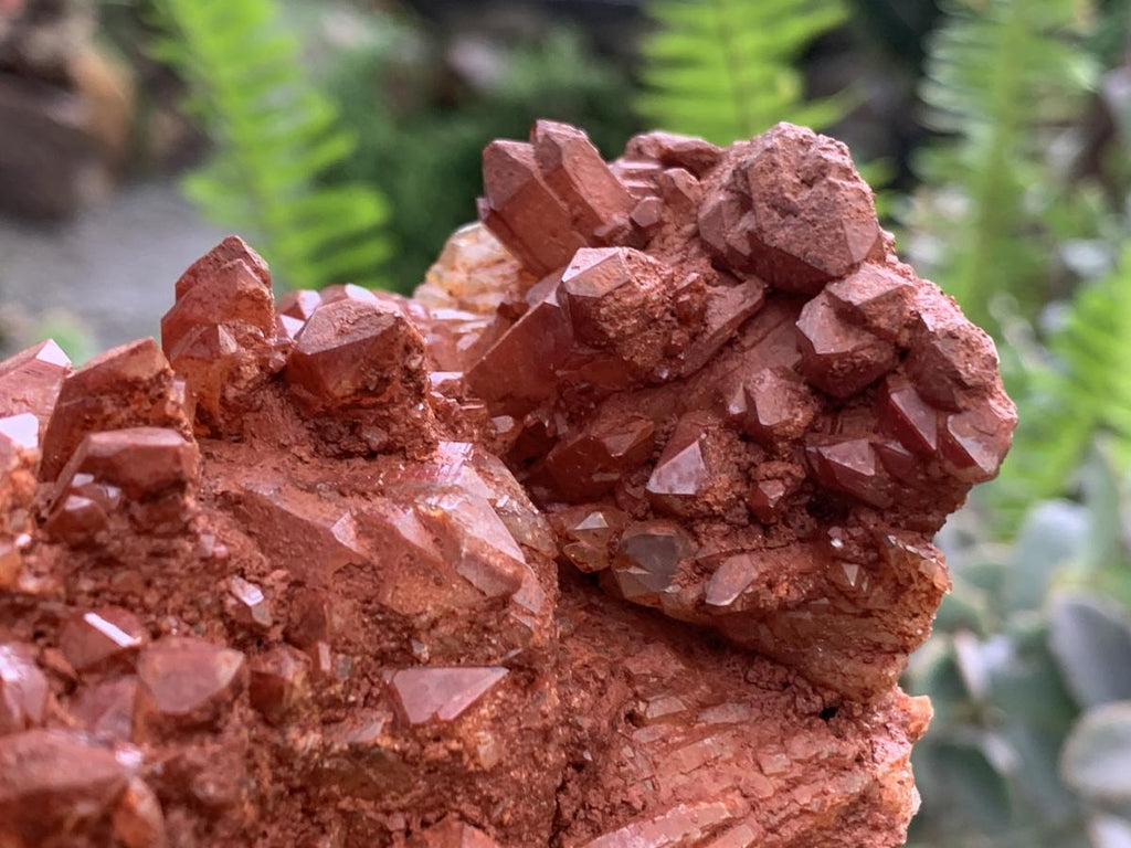 Natural Red Hematiod Quartz Cluster x 1 From Pella, Orange River, Northern Cape