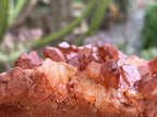 Natural Red Hematiod Quartz Cluster x 1 From Pella, Orange River, Northern Cape