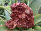 Natural Red Hematiod Quartz Cluster x 1 From Pella, Orange River, Northern Cape