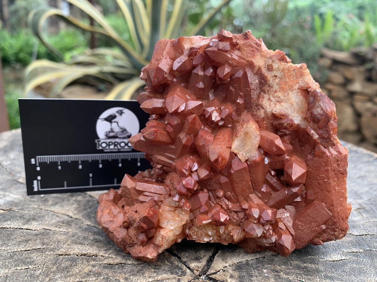 Natural Red Hematiod Quartz Cluster x 1 From Pella, Orange River, Northern Cape