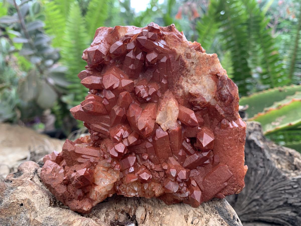Natural Red Hematiod Quartz Cluster x 1 From Pella, Orange River, Northern Cape