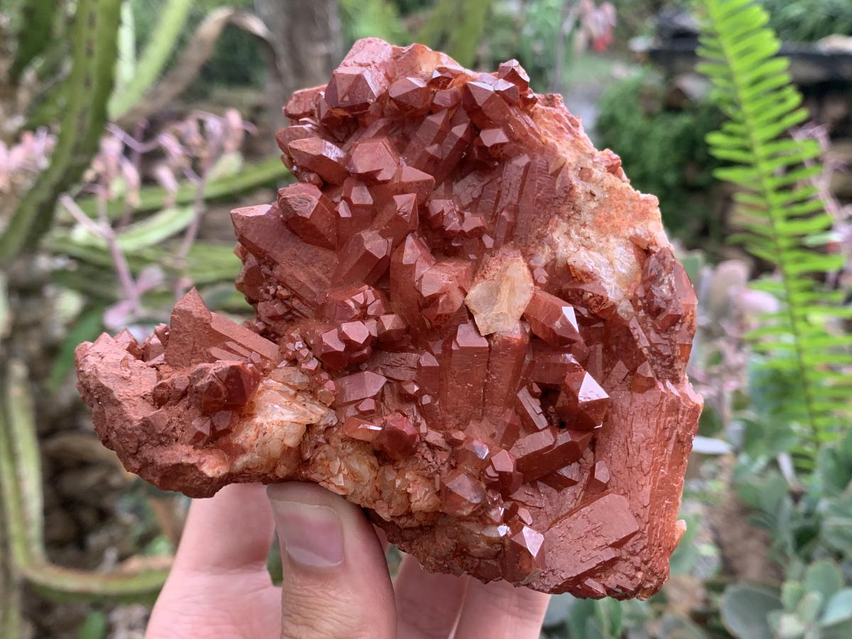 Natural Red Hematiod Quartz Cluster x 1 From Pella, Orange River, Northern Cape