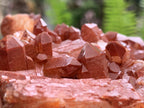 Natural Red Hematiod Quartz Cluster x 1 From Pella, Orange River, Northern Cape