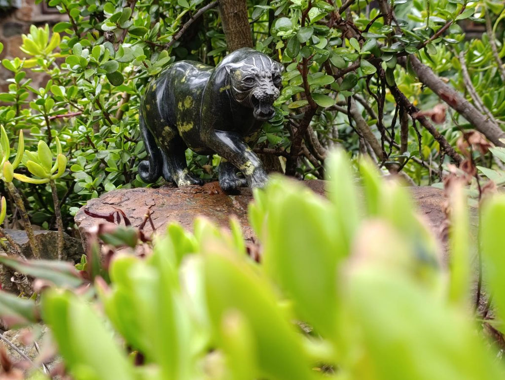 Hand Made XL Leopard Stone Leopard Carving x 1 From Nyanga, Zimbabwe