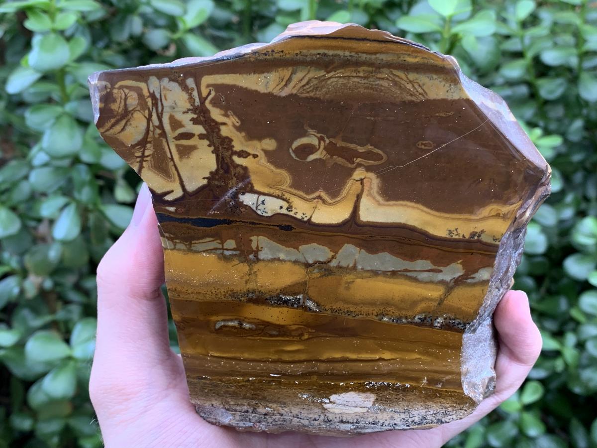 Polished on One Side Nguni Jasper Slice with Silver Hematite x 1 From Northern Cape, South Africa