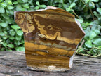 Polished on One Side Nguni Jasper Slice with Silver Hematite x 1 From Northern Cape, South Africa