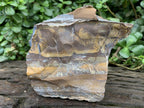 Polished on One Side Nguni Jasper Slice with Silver Hematite x 1 From Northern Cape, South Africa