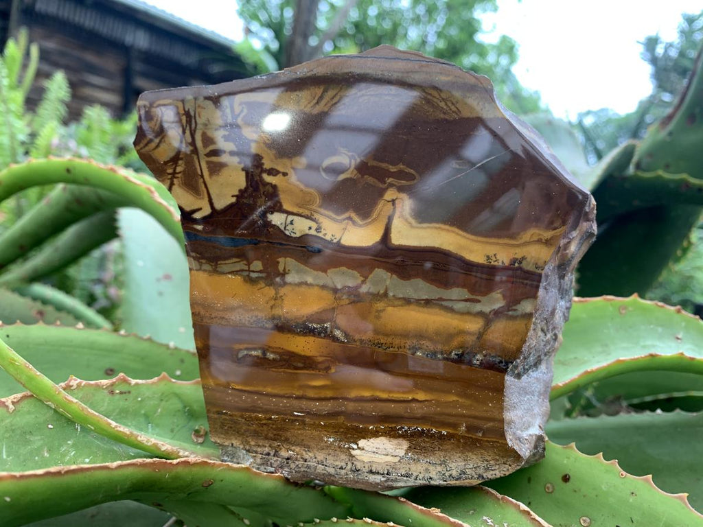 Polished on One Side Nguni Jasper Slice with Silver Hematite x 1 From Northern Cape, South Africa