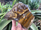 Polished on One Side Nguni Jasper Slice with Silver Hematite x 1 From Northern Cape, South Africa