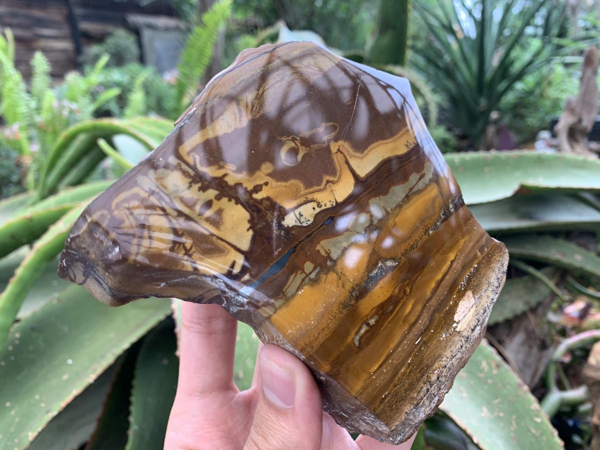 Polished on One Side Nguni Jasper Slice with Silver Hematite x 1 From Northern Cape, South Africa