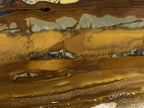 Polished on One Side Nguni Jasper Slice with Silver Hematite x 1 From Northern Cape, South Africa