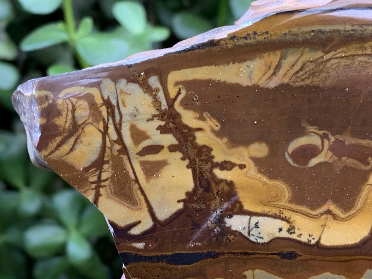 Polished on One Side Nguni Jasper Slice with Silver Hematite x 1 From Northern Cape, South Africa
