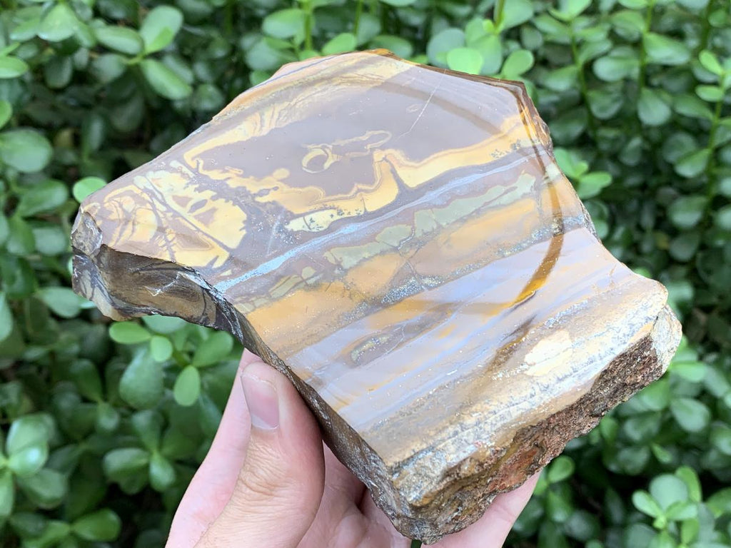 Polished on One Side Nguni Jasper Slice with Silver Hematite x 1 From Northern Cape, South Africa