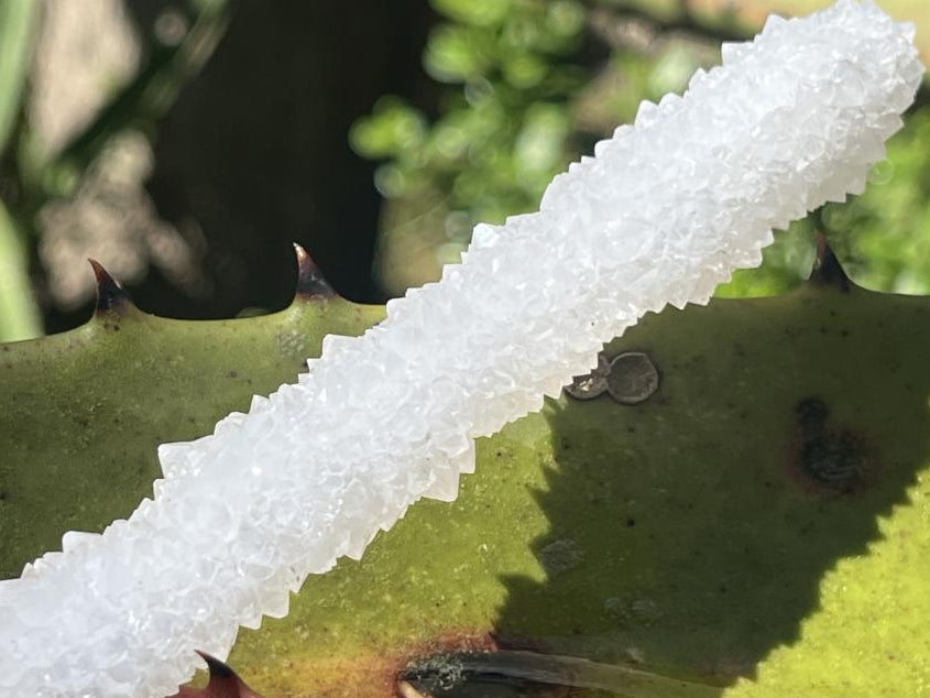 Natural Extra Long Drusy Quartz Coated Snow Finger Crystal x 1 From Albert's Mountain, Lesotho