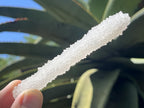 Natural Extra Long Drusy Quartz Coated Snow Finger Crystal x 1 From Albert's Mountain, Lesotho