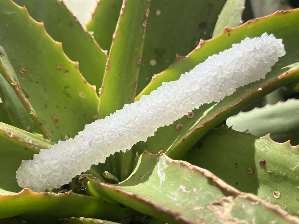 Natural Extra Long Drusy Quartz Coated Snow Finger Crystal x 1 From Albert's Mountain, Lesotho
