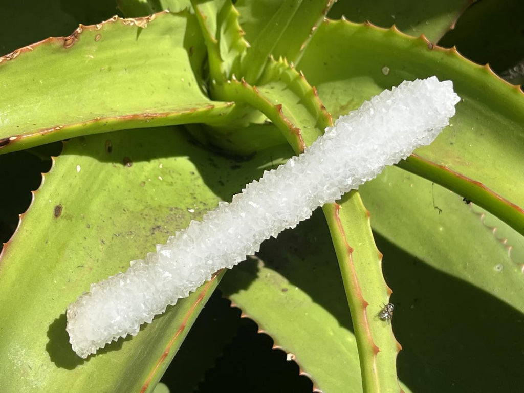 Natural Extra Long Drusy Quartz Coated Snow Finger Crystal x 1 From Albert's Mountain, Lesotho