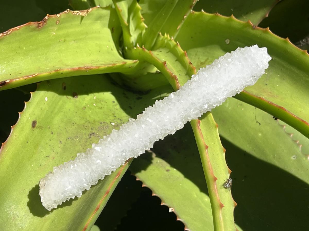 Natural Extra Long Drusy Quartz Coated Snow Finger Crystal x 1 From Albert's Mountain, Lesotho