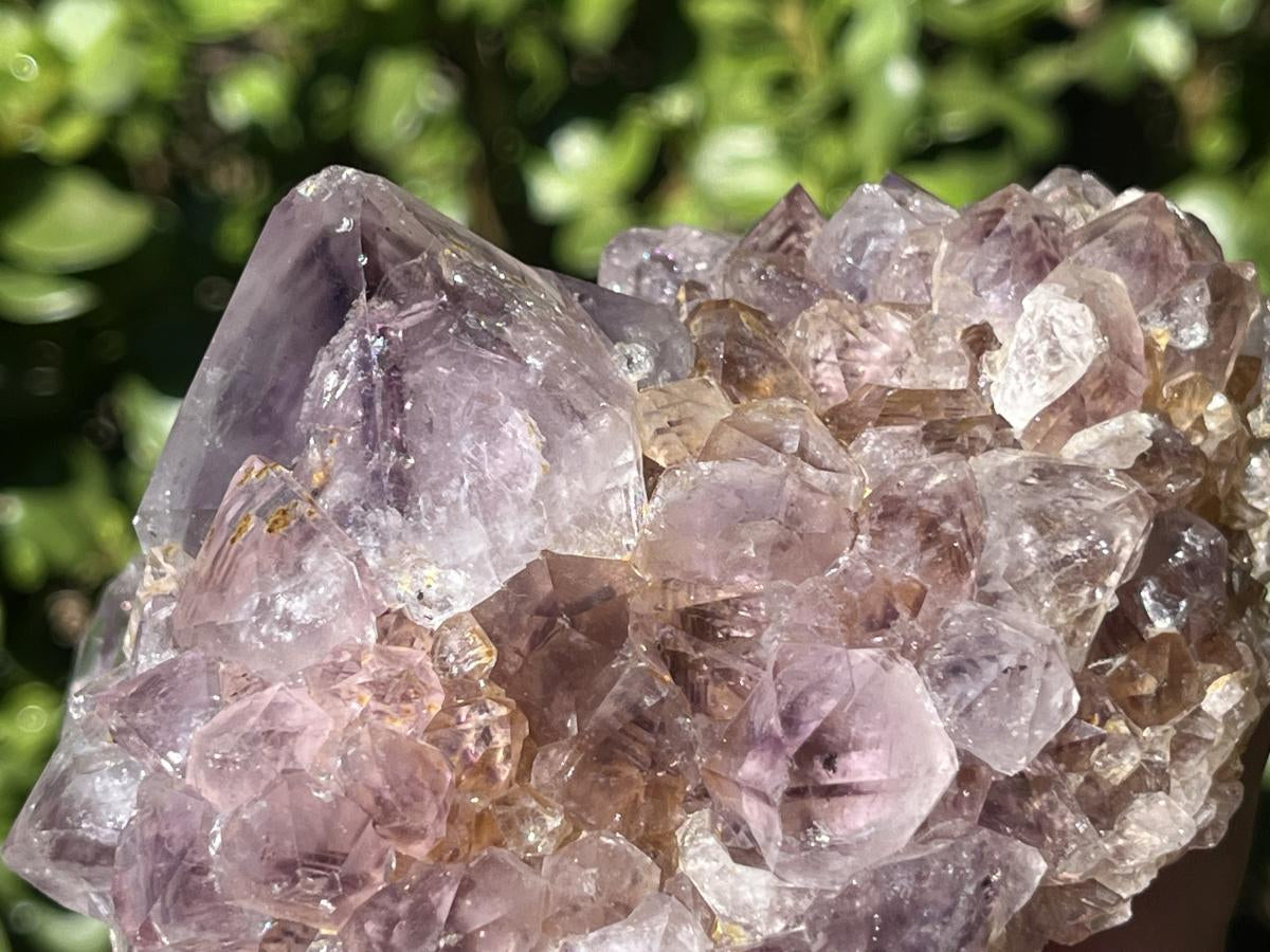 Natural Sunburst Spirit Amethyst Crystal Cluster x 1 From Boekenhouthoek, South Africa
