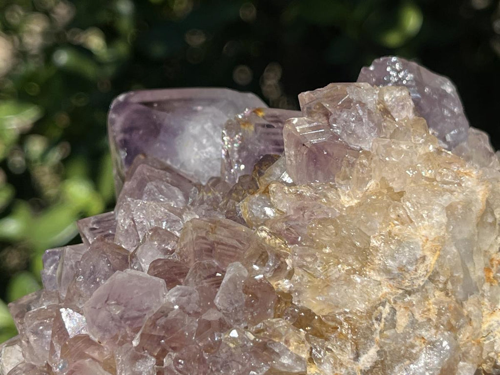 Natural Sunburst Spirit Amethyst Crystal Cluster x 1 From Boekenhouthoek, South Africa