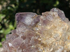 Natural Sunburst Spirit Amethyst Crystal Cluster x 1 From Boekenhouthoek, South Africa
