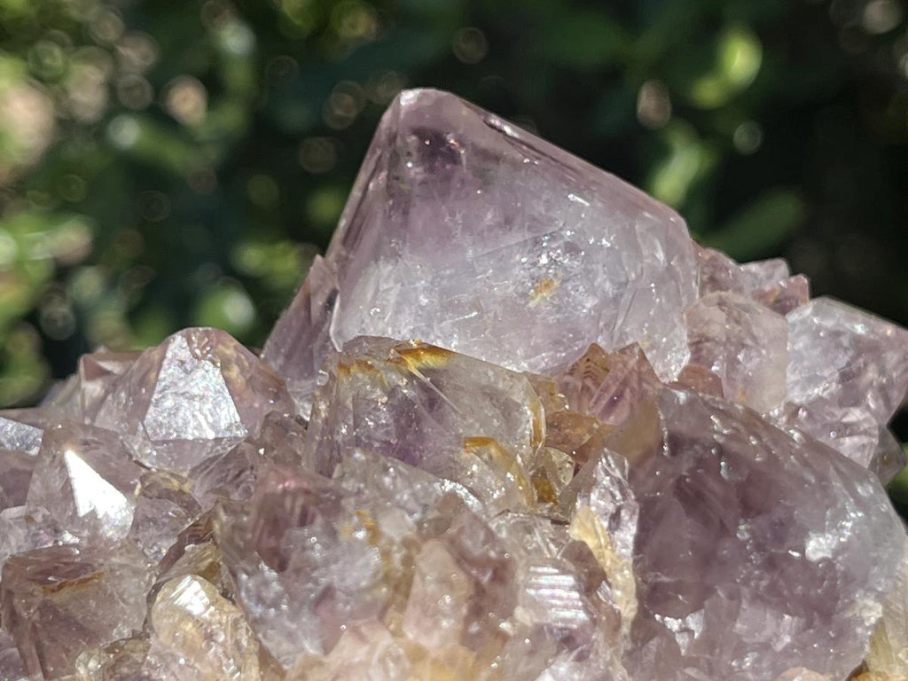 Natural Sunburst Spirit Amethyst Crystal Cluster x 1 From Boekenhouthoek, South Africa