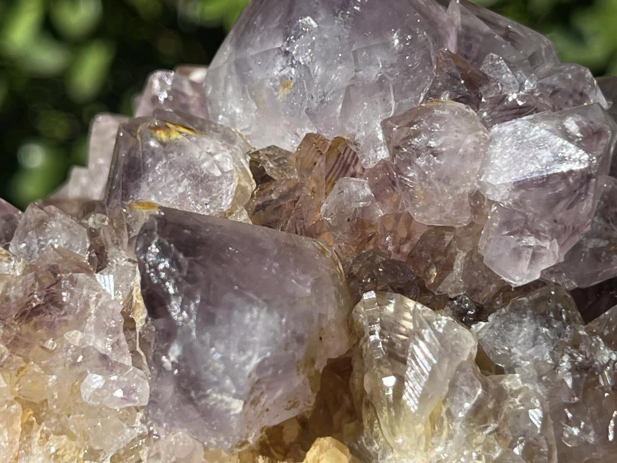 Natural Sunburst Spirit Amethyst Crystal Cluster x 1 From Boekenhouthoek, South Africa