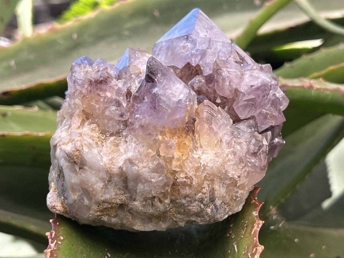 Natural Sunburst Spirit Amethyst Crystal Cluster x 1 From Boekenhouthoek, South Africa