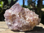 Natural Sunburst Spirit Amethyst Crystal Cluster x 1 From Boekenhouthoek, South Africa