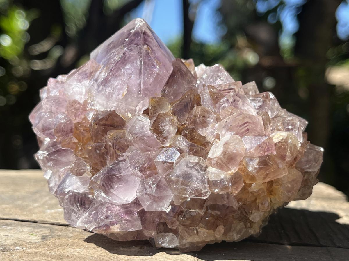 Natural Sunburst Spirit Amethyst Crystal Cluster x 1 From Boekenhouthoek, South Africa