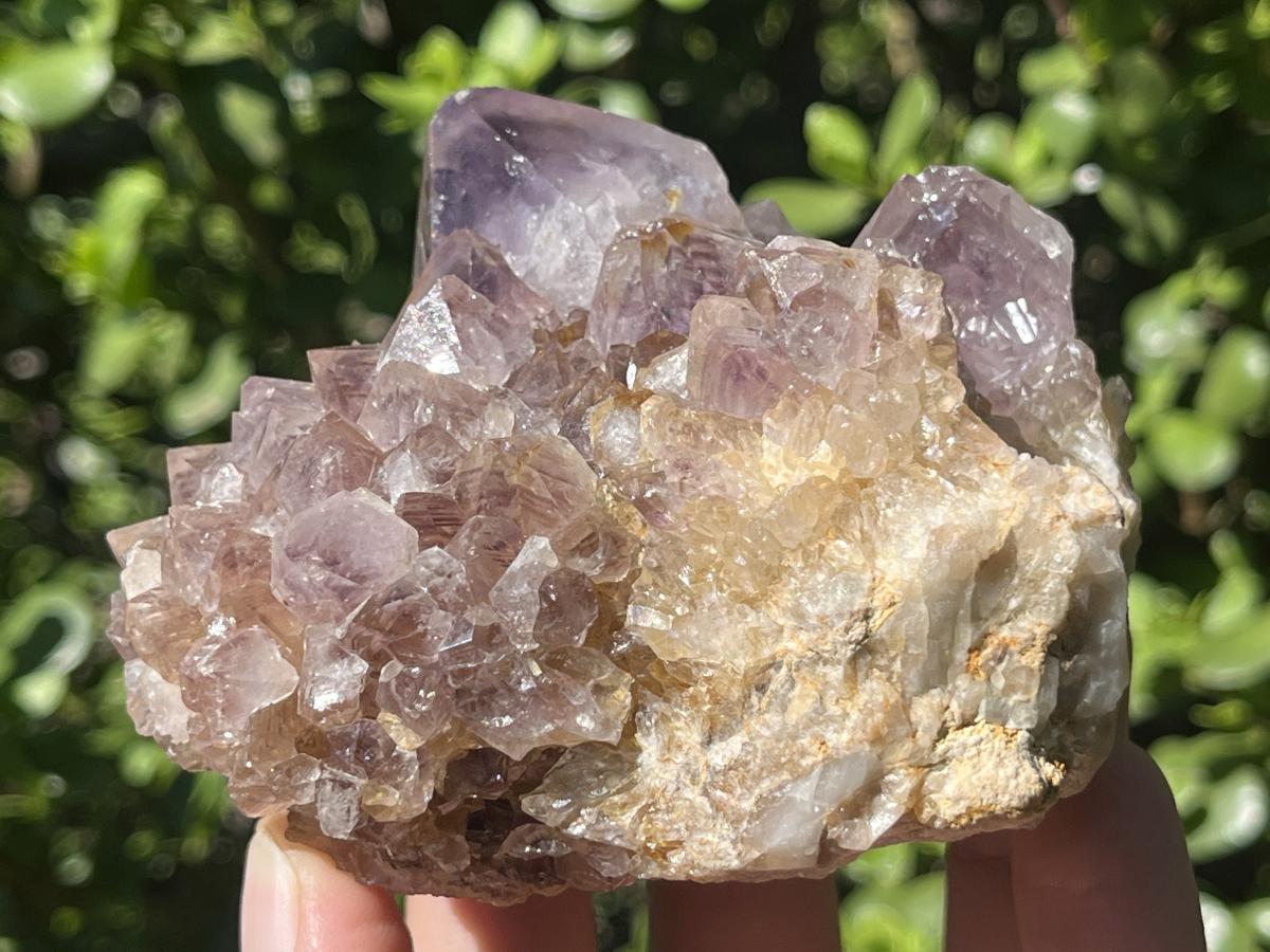 Natural Sunburst Spirit Amethyst Crystal Cluster x 1 From Boekenhouthoek, South Africa