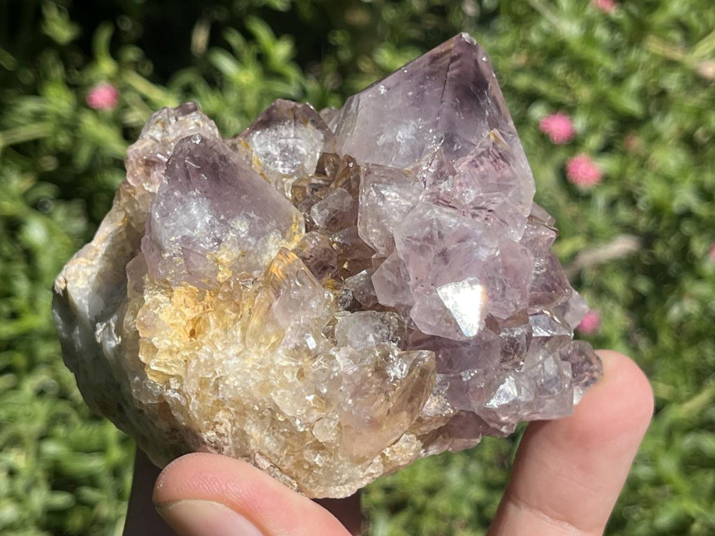 Natural Sunburst Spirit Amethyst Crystal Cluster x 1 From Boekenhouthoek, South Africa
