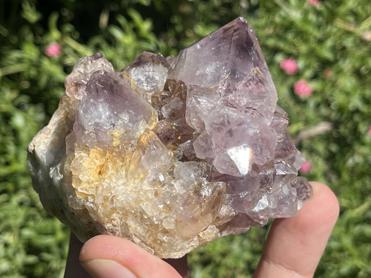 Natural Sunburst Spirit Amethyst Crystal Cluster x 1 From Boekenhouthoek, South Africa