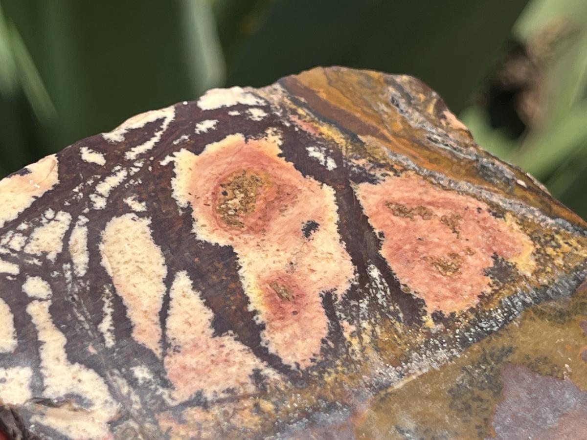 Polished on One Side Nguni Jasper Piece x 1 From Northern Cape, South Africa