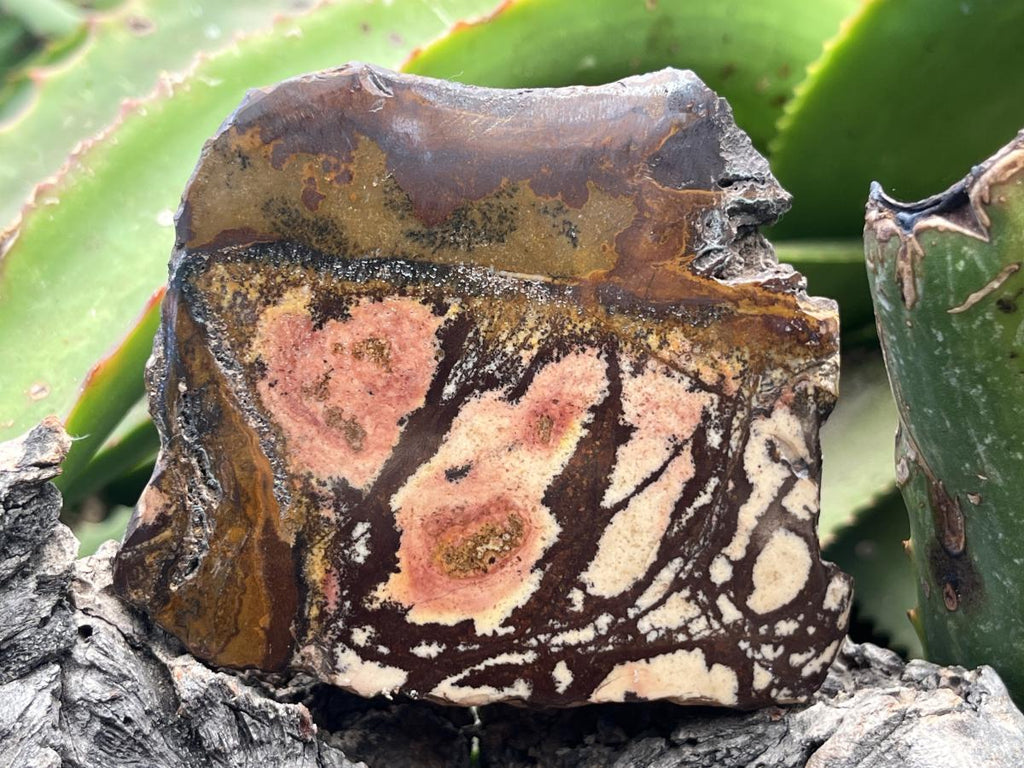 Polished on One Side Nguni Jasper Piece x 1 From Northern Cape, South Africa