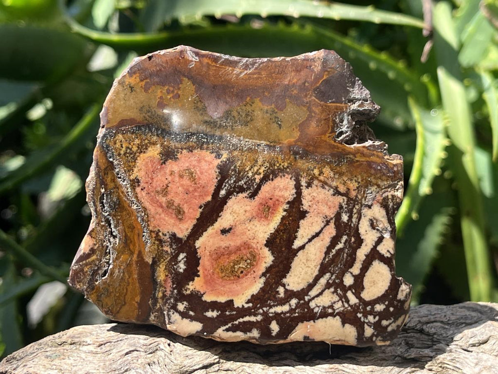 Polished on One Side Nguni Jasper Piece x 1 From Northern Cape, South Africa