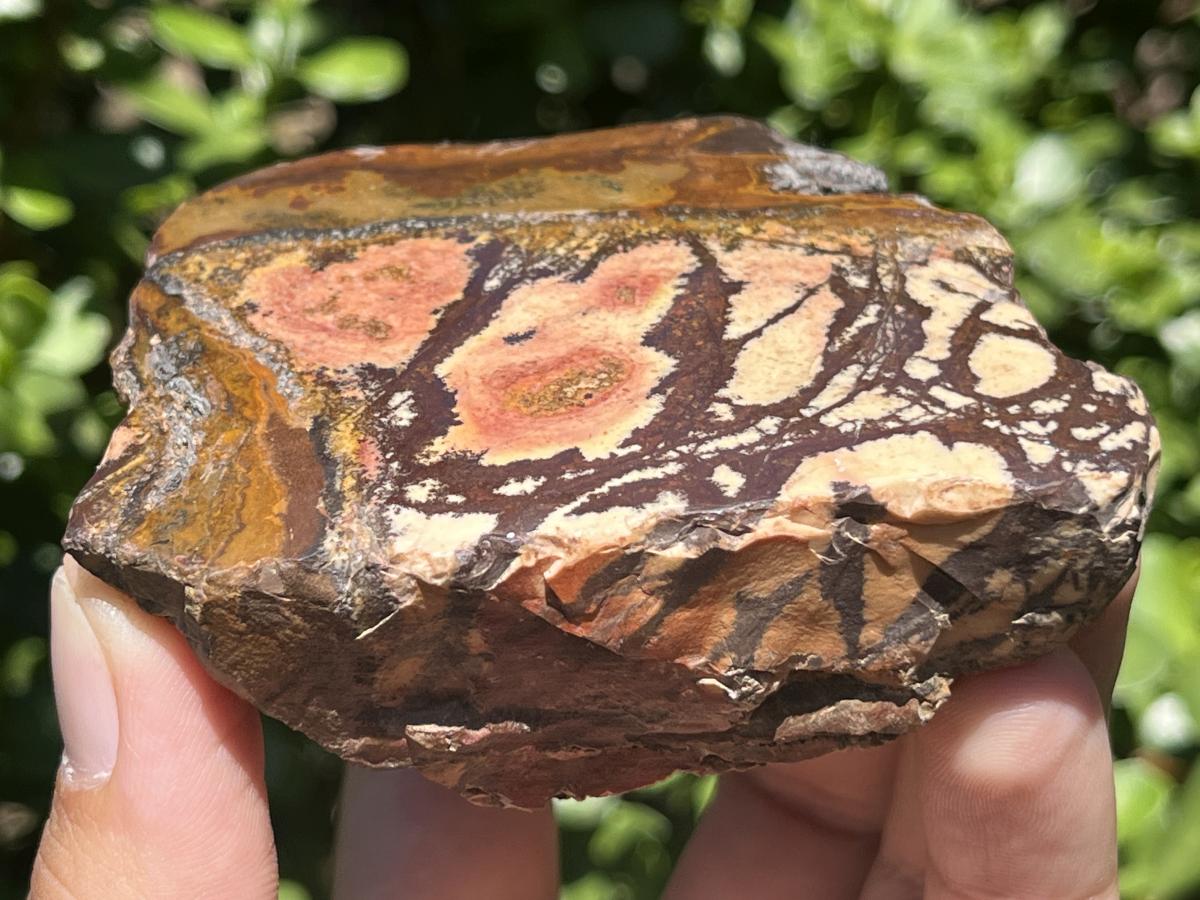Polished on One Side Nguni Jasper Piece x 1 From Northern Cape, South Africa