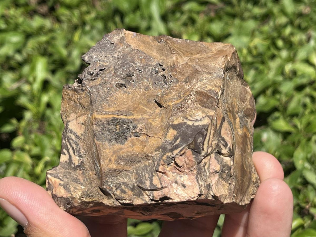 Polished on One Side Nguni Jasper Piece x 1 From Northern Cape, South Africa