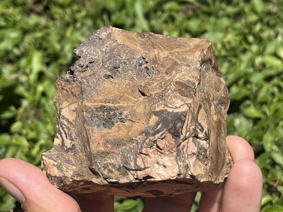 Polished on One Side Nguni Jasper Piece x 1 From Northern Cape, South Africa