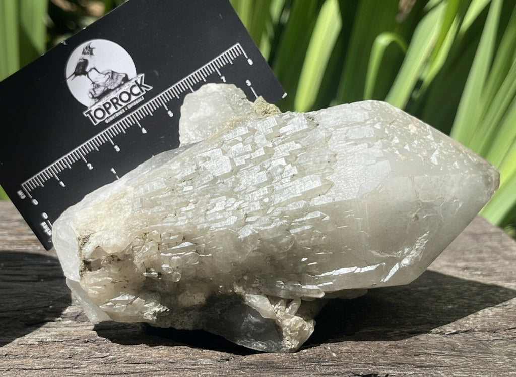 Natural Green Epidote Cascading Quartz Crystal x 1 From Messina Mine, Musina, South Africa